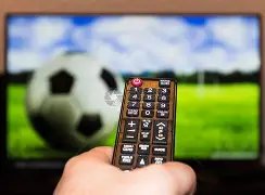 霍启刚助力,国队士气高,女儿手持金,欧博娱乐,欧博娱乐官网