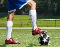 台演艺界在,大陆发展受,国台办热捧,欧博娱乐,欧博娱乐官网