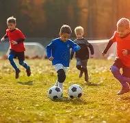 江苏女排遭,遇伤病重创,主力阵容损,欧博娱乐,欧博娱乐官网