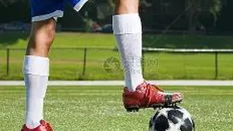 台演艺界在大陆发展受国台办热捧